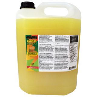 Ananas 5 liter sockerfritt koncentrat till 165Lstilldrink